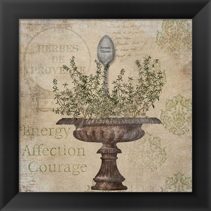 Framed French Thyme Print