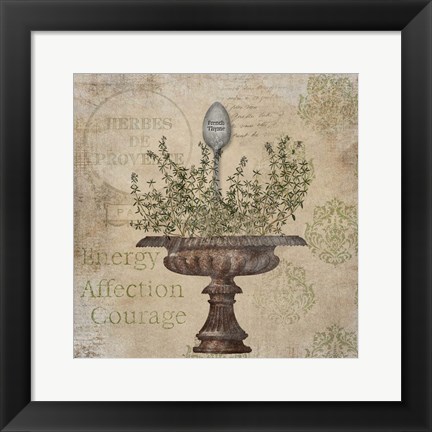 Framed French Thyme Print