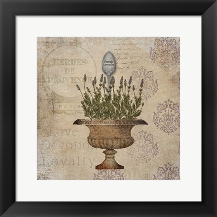 Framed French Lavender Print