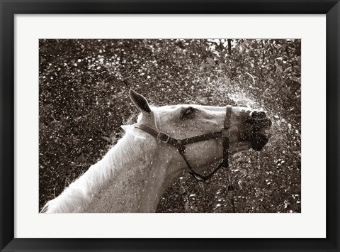 Framed After a Shower Print