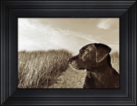 Framed At the Beach Print