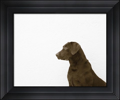 Framed I See You Print