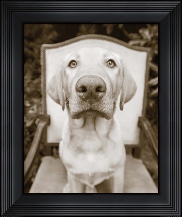 Framed Sitting Print