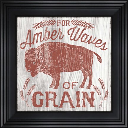 Framed America the Beautiful II Print