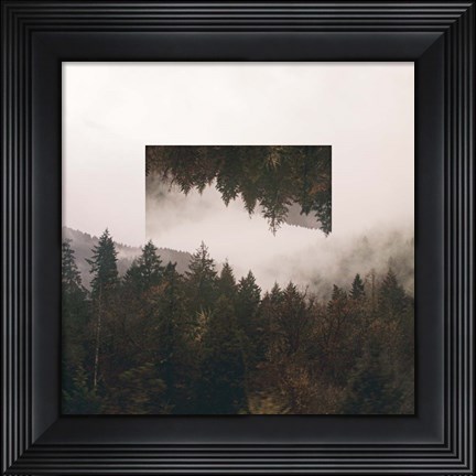 Framed Reflected Landscape I Print