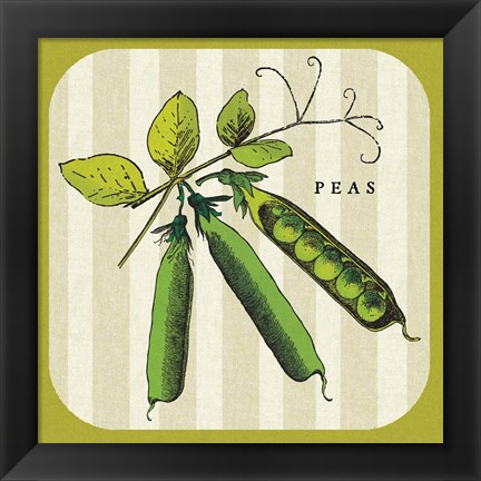 Framed Linen Vegetable IV Print