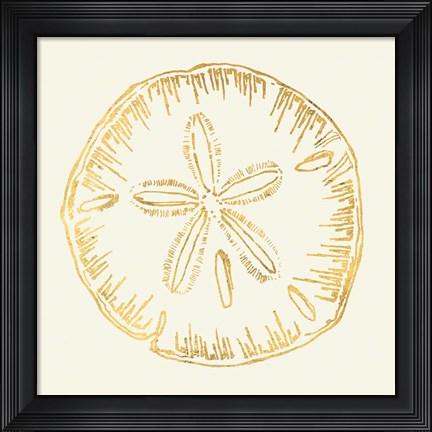Framed Coastal Breeze Shell Sketches IV Print