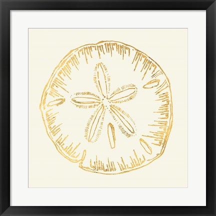 Framed Coastal Breeze Shell Sketches IV Print