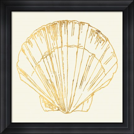 Framed Coastal Breeze Shell Sketches V Print