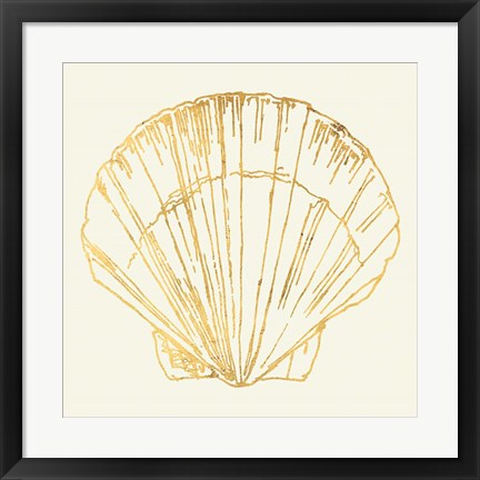 Framed Coastal Breeze Shell Sketches V Print