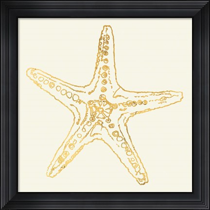 Framed Coastal Breeze Shell Sketches VI Print