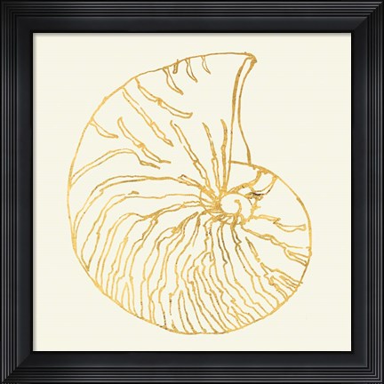 Framed Coastal Breeze Shell Sketches VII Print