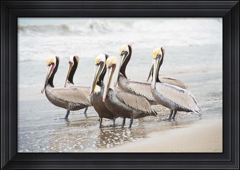 Framed Pacific Cool IV Print