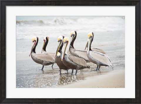 Framed Pacific Cool IV Print