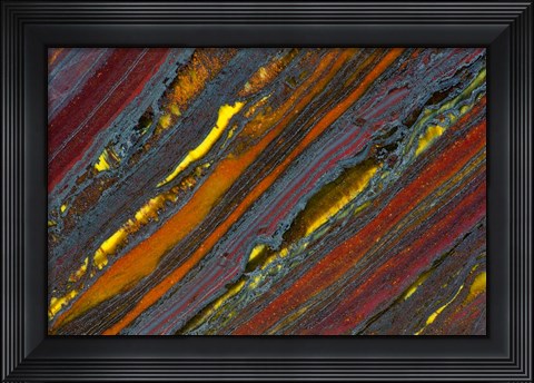 Framed Australian Tiger Eye Print