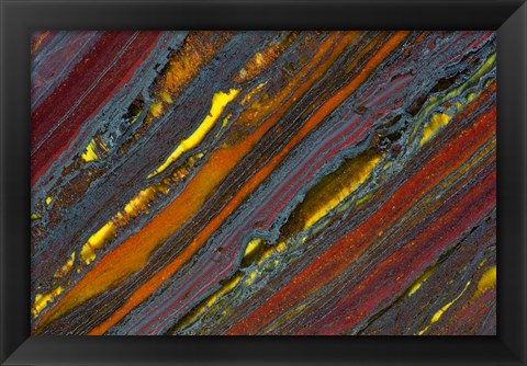Framed Australian Tiger Eye Print