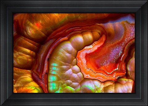 Framed Fire Opal from Australia 1 Print