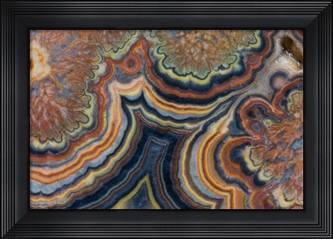Framed Flowering Tube Onyx, Mexico 2 Print
