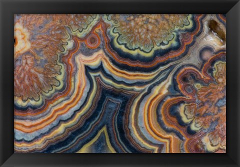 Framed Flowering Tube Onyx, Mexico 2 Print