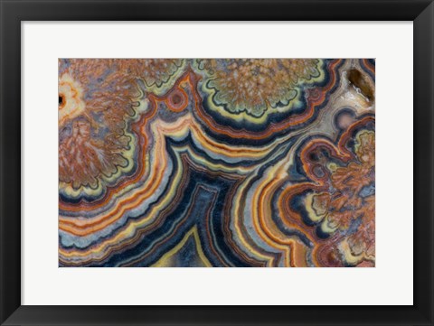 Framed Flowering Tube Onyx, Mexico 2 Print