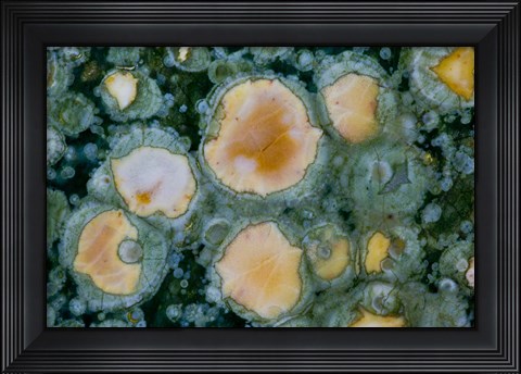 Framed Ocean Jasper from Madagascar 2 Print