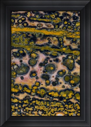Framed Ocean Jasper from Madagascar 4 Print