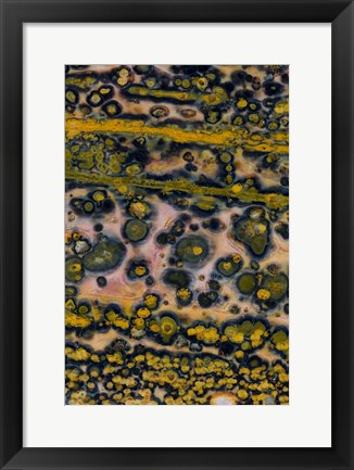 Framed Ocean Jasper from Madagascar 4 Print