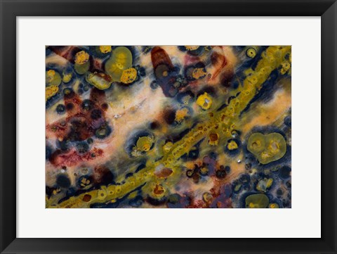 Framed Ocean Jasper from Madagascar 5 Print