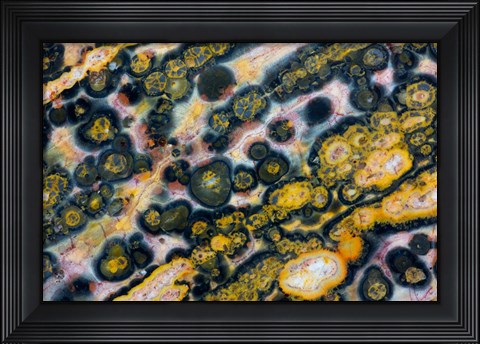 Framed Ocean Jasper from Madagascar 6 Print
