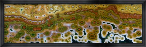 Framed Ocean Jasper from Madagascar 9 Print