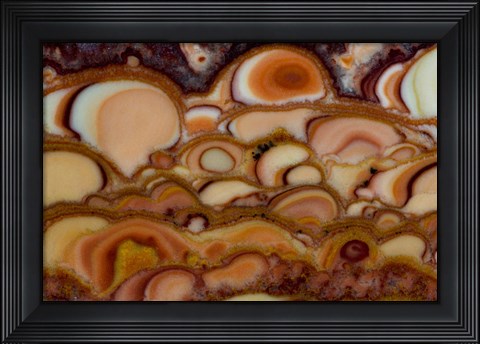 Framed Onyx Print