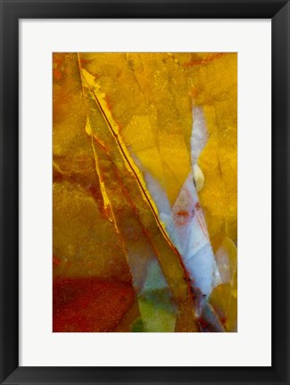 Framed Piute Jasper 2 Print