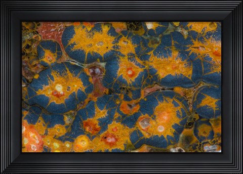 Framed Poppy Jasper Print