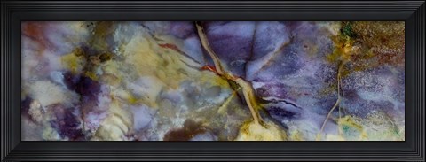 Framed Purple Jasper Print