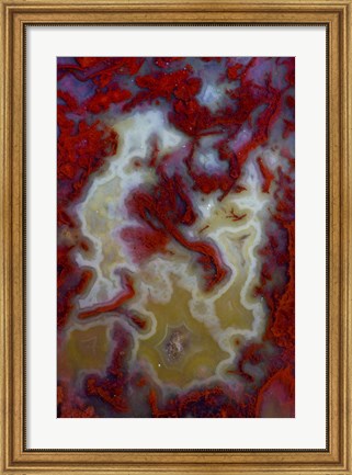 Framed Red Moss Agate Slab Print