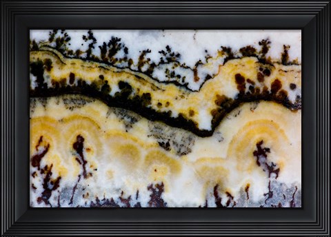 Framed Silver Lace Onyx 1 Print