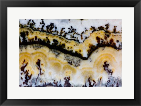 Framed Silver Lace Onyx 1 Print