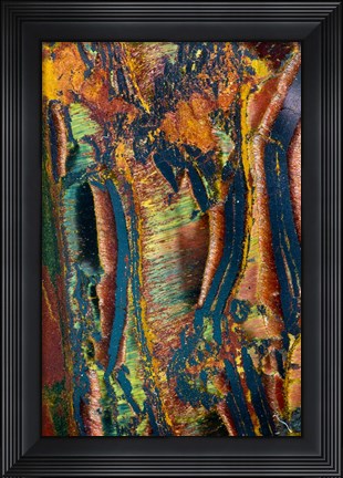 Framed Tiger Eye Print