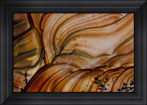 Framed Deschutes Jasper from Oregon Print