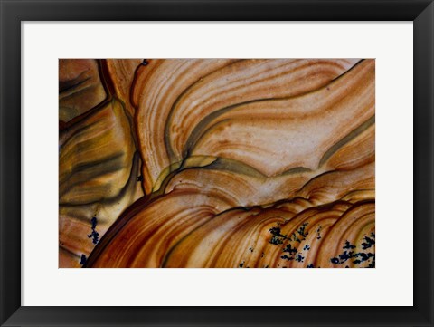 Framed Deschutes Jasper from Oregon Print