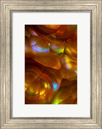 Framed Fire Opal from Australia 2 Print