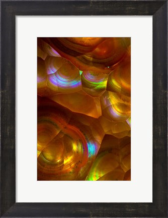 Framed Fire Opal from Australia 2 Print