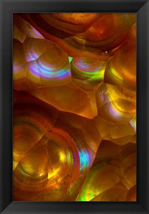 Framed Fire Opal from Australia 2 Print