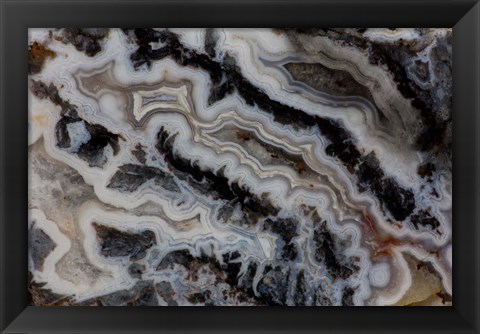 Framed Jasper Agate Mixed slab Print