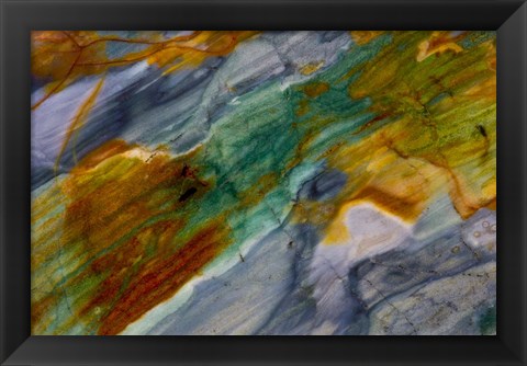 Framed Piute Jasper 1 Print