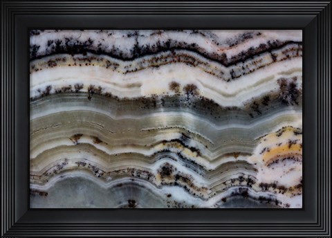 Framed Silver Lace Onyx 2 Print