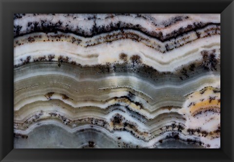 Framed Silver Lace Onyx 2 Print