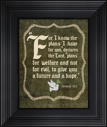 Framed Jeremiah 29:11 For I know the Plans I have for You (White Dove) Print