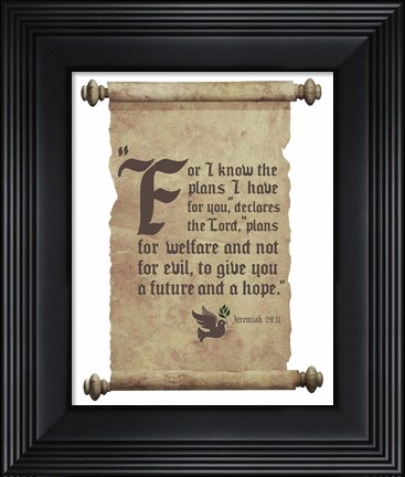 Framed Jeremiah 29:11 For I know the Plans I have for You (Dove on Scroll) Print