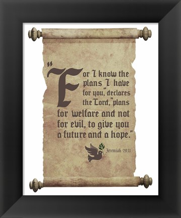 Framed Jeremiah 29:11 For I know the Plans I have for You (Dove on Scroll) Print